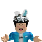 JoJocraftHP profile picture